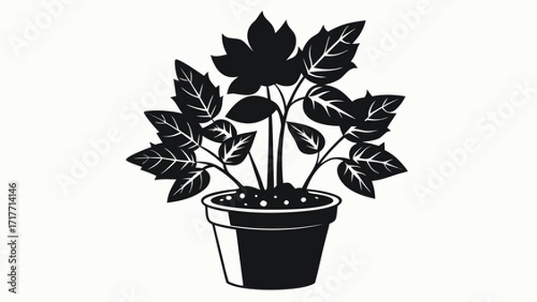 Fototapeta Vector art of a potted plant with large leaves, a simple yet elegant botanical illustration in black and white, perfect for minimalist designs