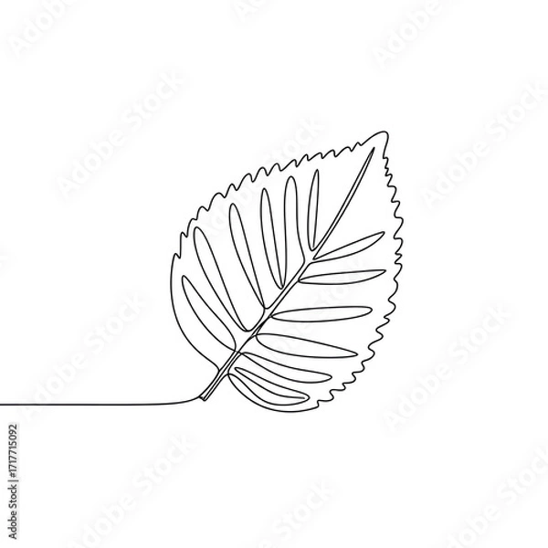 Fototapeta Continuous line drawing of a leaf on white background  