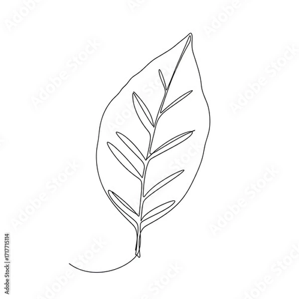 Fototapeta Minimal line art of a leaf drawing on white background  