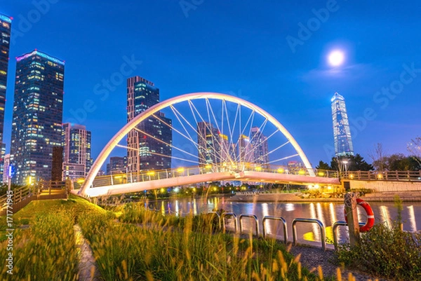 Obraz INCHEON, KOREA Songdo Central Park in Incheon, South Korea