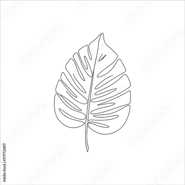 Fototapeta Outline of a monstera leaf on a minimalist background  