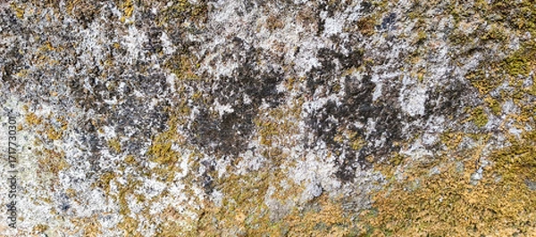 Fototapeta black and white stone texture