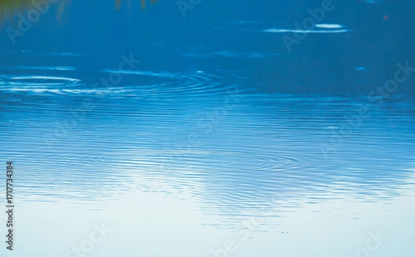 Obraz 早朝の空が反射する水辺に波紋が広がる04