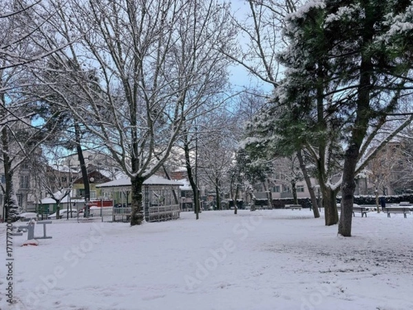 Fototapeta Snowy Public Park with Gazebo and Bare Trees in Winter