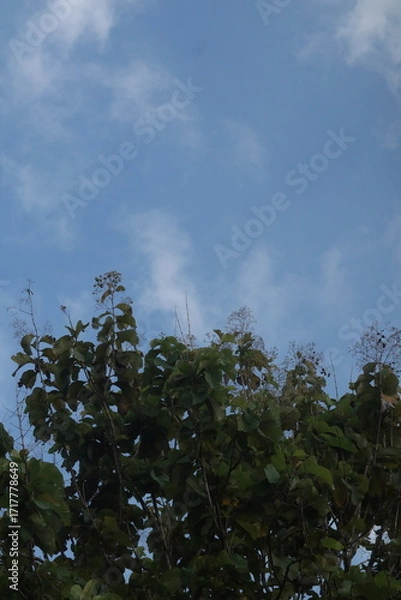 Obraz sky and clouds