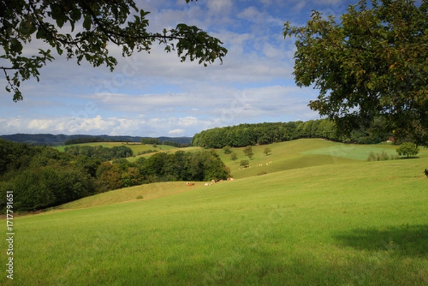 Obraz sunny day in the Odenwald