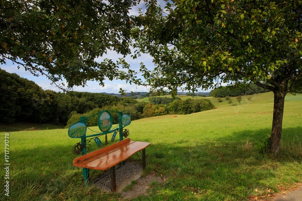 Obraz sunny day in the Odenwald