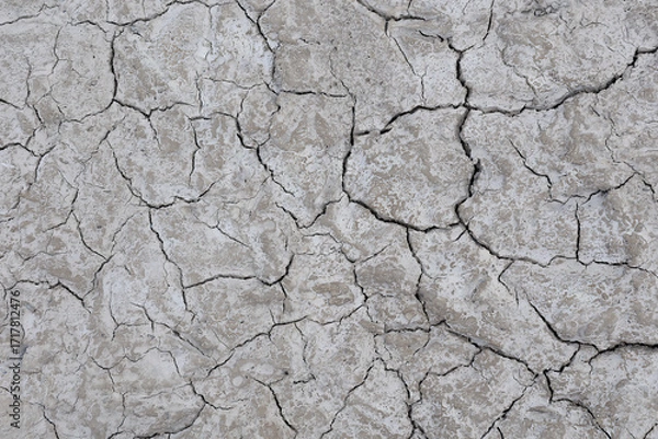Obraz Cracked Dry Mud Texture Background for Climate Change, Drought, and Skin Dehydration