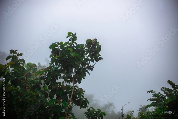 Fototapeta Panoramic nature background (mountains, sea, trees, twilight lights in the sky, waterfront communities), naturally blurred through the wind, seen on tourist spots or scenic spots