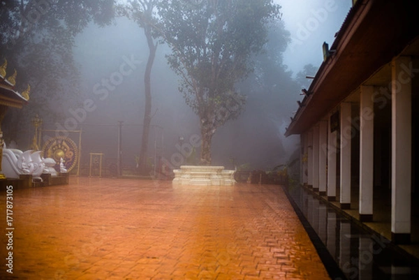 Fototapeta The background of the religious tourist attraction Wat Phra That Doi Tung in the mist in Chiang Rai Province, Thailand, where travelers often stop to make merit.