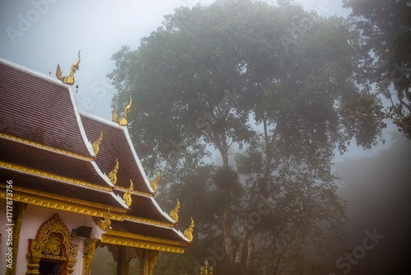 Fototapeta The background of the religious tourist attraction Wat Phra That Doi Tung in the mist in Chiang Rai Province, Thailand, where travelers often stop to make merit.