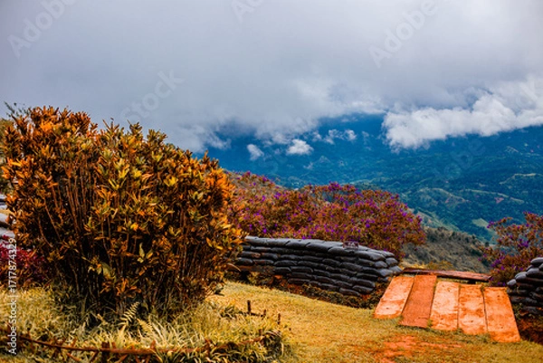 Fototapeta The natural background of nature in rural communities with rice fields and grasslands near large mountains is a beauty that can be found in northern Thailand such as Chiang Mai, Chiang Rai.