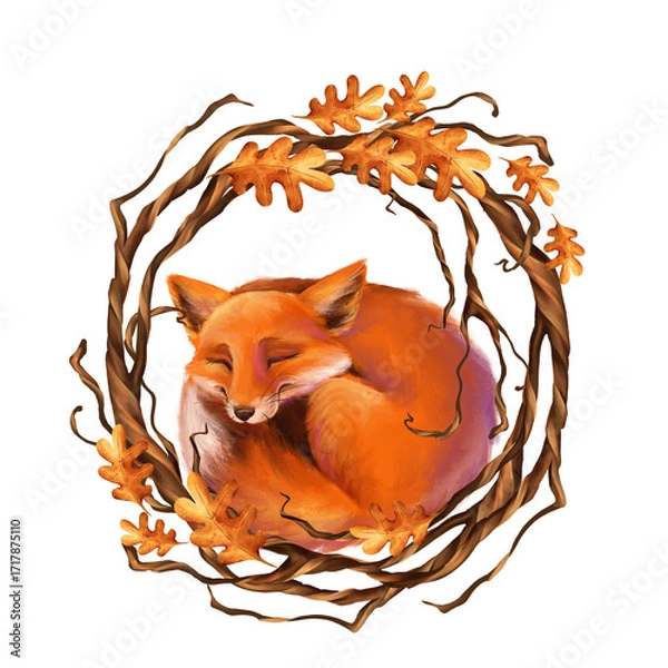 Fototapeta Hand-drawn illustration of a cute fox curled up and sleeping in a wreath of autumnal oak leaves