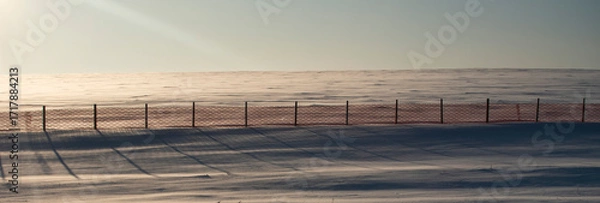 Fototapeta View of a snow-covered field in winter