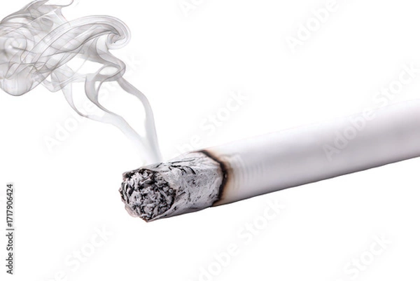 Fototapeta Close Up of Burning Cigarette with Smoke on Transparent Background