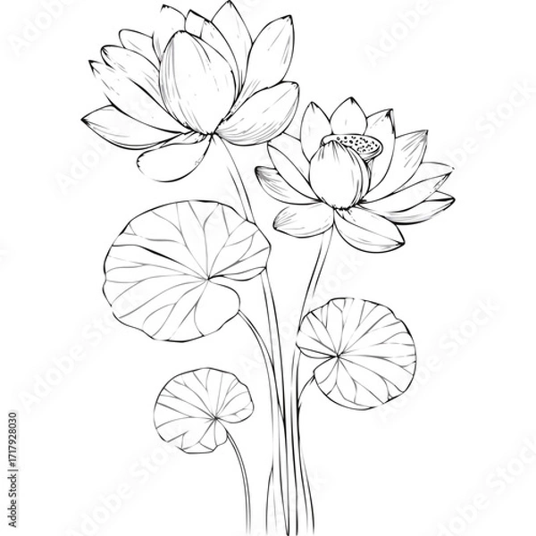 Fototapeta Lotus Flower Sketch Outline Illustration in Black and White – Hand Drawn Botanical Vector