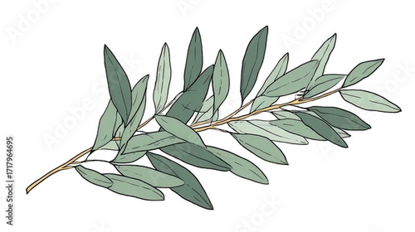 Fototapeta Green Leaf Branch with Transparent Background