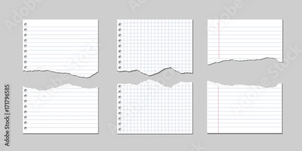 Fototapeta Set of Vector Illustrations of torn pages of notebook paper lined and square