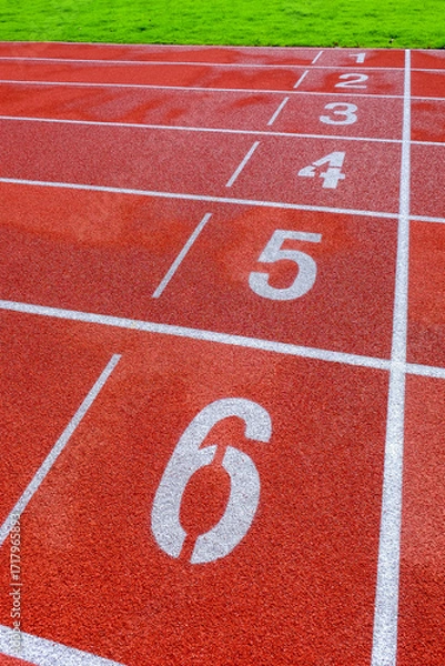 Fototapeta Running track with numbers in the stadium, sport background.
