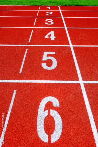 Fototapeta Running track with numbers in the stadium, sport background.