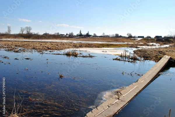 Obraz a river in spring