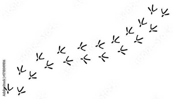 Fototapeta Сhicken trail, bird tracks footprints, path isolated, paw print, animal tracks