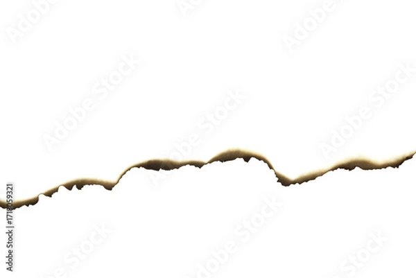 Fototapeta Burnt uneven paper tear isolated on white background with clipping path.