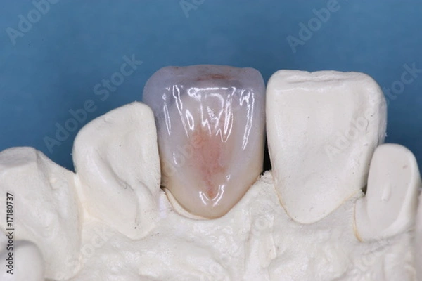 Obraz Laboratorio odontotecnico (18)