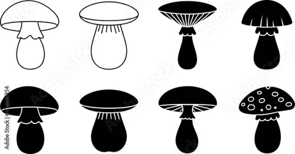 Fototapeta Mushroom Variety: A meticulously crafted, detailed illustration showcases a collection of distinct mushroom specimens, representing diverse forms.