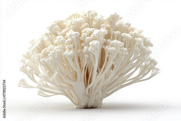 Obraz A enoki mushrooms, 3D render, isolated on a white background.