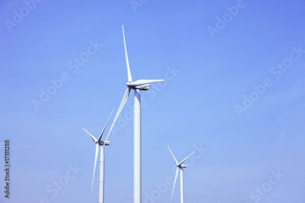 Fototapeta 風力発電
