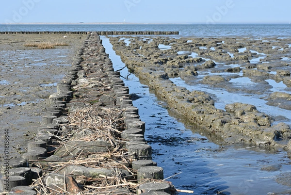 Fototapeta Lahnung zur traditionellen Landgewinnung am Wattenmeer mit Doppelpflockreihen und zwischenliegenden Steinen.  Im umschlossenen Lahnungsfeld wird so die Sedimentation gefördert.