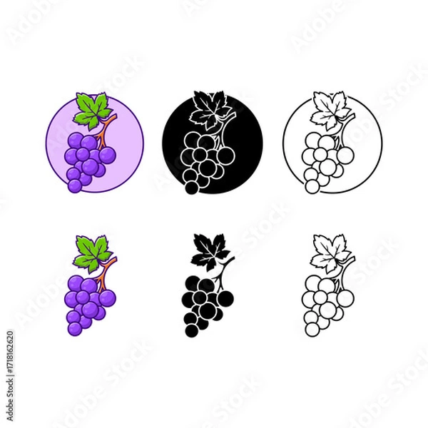 Fototapeta Set of Grape Fruit Illustrati...