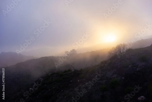 Fototapeta A serene yet dramatic landscape of rolling hills is shrouded in a thick marine layer of fog, with a soft, golden light from the sun piercing through the haze.