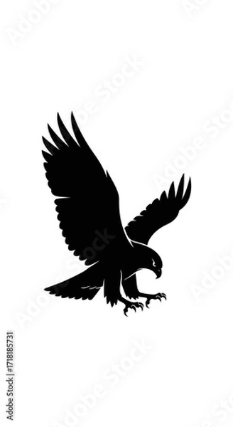 Obraz Silhouette of a soaring hawk in flight, showcasing detailed wingspan and talons.