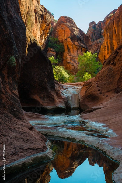 Obraz Red rocks desert preserve Canyon in utah