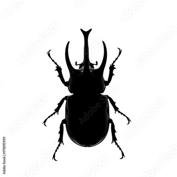 Fototapeta Silhouette of a rhinoceros beetle isolated on transparent background, top view