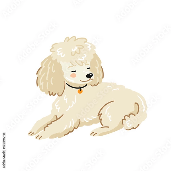 Fototapeta Cartoon illustration of a lying cream toy poodle, vector in flat style. Suitable for pet projects.