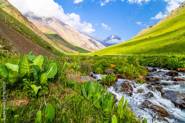Fototapeta Majestic snow-capped mountains with serene flowing stream in Kyrgyzstan