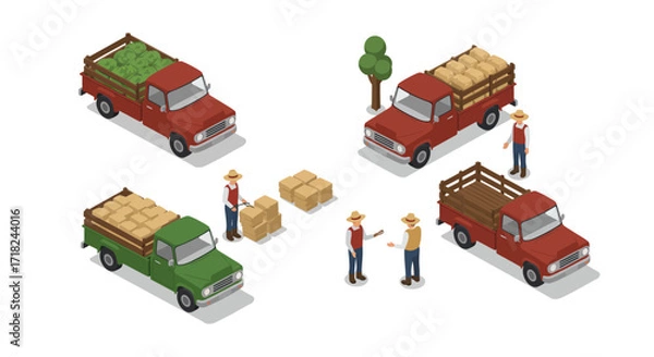 Fototapeta Isometric farm trucks with farmers loading and unloading produce and goods