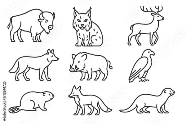 Obraz Native Wildlife Icons. Line style icons of native wildlife species: wild bison, lynx, red deer, grey wolf, wild boar, golden eagle