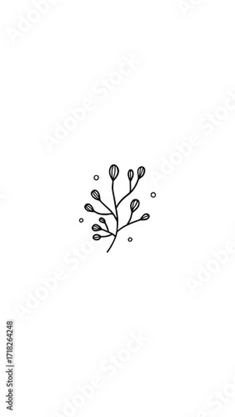 Fototapeta Minimalist hand drawn botanical sprig with small buds.