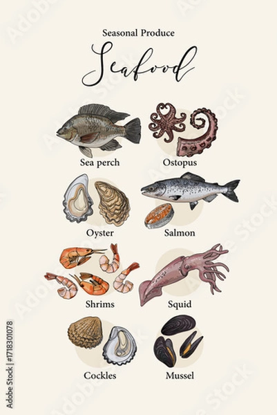 Fototapeta Vector poster with colorful hand drawn illustrations of seasonal seafood: sea perch, octopus, oyster, salmon, shrimps, squid, cockles, and mussels. Botanical and culinary style artwork with line and c