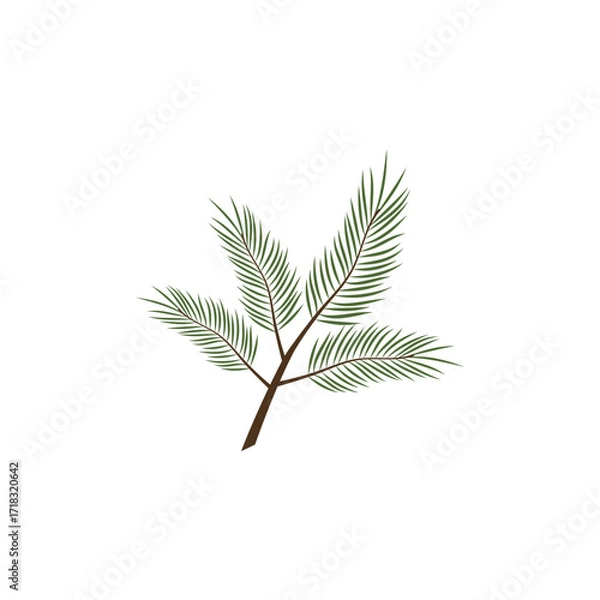 Fototapeta Pine tree branches with green needles and cones illustration