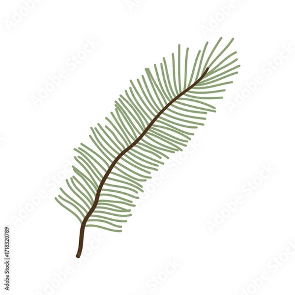 Fototapeta Pine tree branches with green needles and cones illustration
