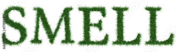 Fototapeta Smell - 3D rendering fresh Grass letters isolated on whhite background.