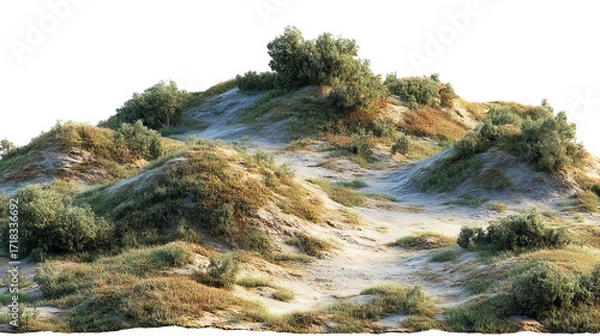 Fototapeta PNG of Serene landscape featuring small hills adorned with lush greenery, bathed in soft natural light.