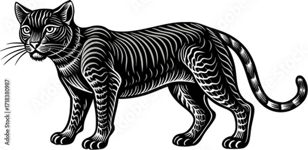 Obraz Black and White Line Art Cat Illustration