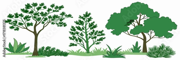 Obraz Collection of Green Trees and Plants, Vector Illustration