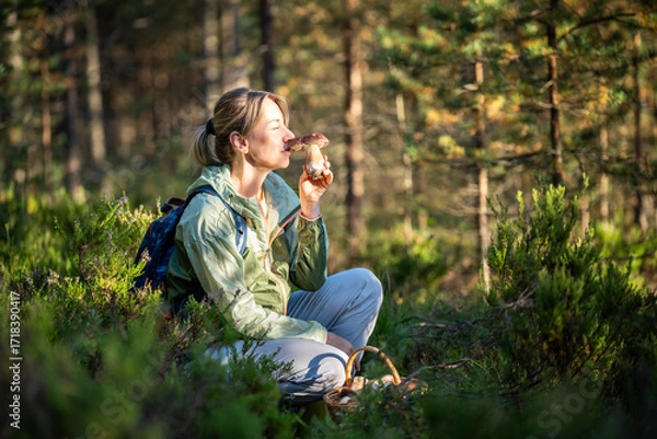 Obraz Content woman forager holding boletus mushroom and smelling scent, sitting in heather bushes in woodland. female picking porcini mushroom in autumn forest, nature walking, collecting food in basket. 
